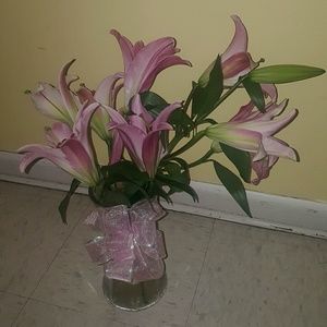 Meet your Posher, Martha